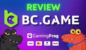 Exploring the BC Game Payment Options Exploring the BC Game Payment Options